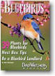 Enjoying Bluebirds More